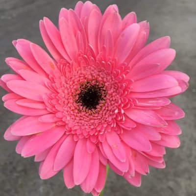 clm3776's profile picture. 