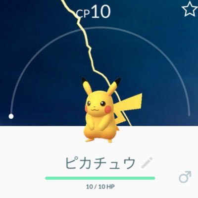 Sakuraouji ポケモンgo ギアル 色違い 10kmたまごからギアル色違い