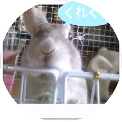meinstar419's profile picture. うさぎ、温泉、銭湯、ラーメン、モタスポ好きのwebデザインとかwebシステムやってる人です。チモシー教信者