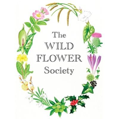 The Wild Flower Society Profile