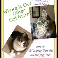 Sir Winston & Fluff Ball (@fluff_sir) 's Twitter Profile