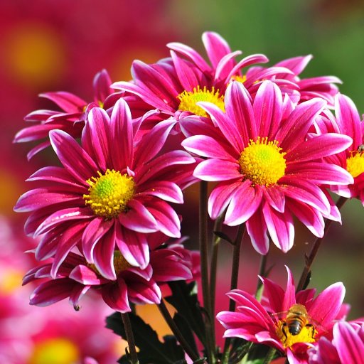 JuridicaCaro's profile picture. ⚖️Asesoría Jurídica V Región. 
Tramitación:
📌Rec.Protección Isapre. 
📌Defensa Sumarios Administrativos. 
📌Posesiones Efectivas. 
📌Estudios de Títulos 
972542669