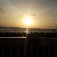 Scott Sollars (@sbstigers) 's Twitter Profile