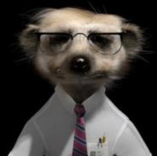 Computermabobs's profile picture. Firstly, I am not have worms! I am works for @Aleksandr_Orlov. Officials IT manager of http://t.co/d6a4pnPnrL