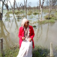 Dahabo Adi Galgallo (@adi_dahabo) 's Twitter Profile