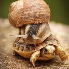 ziggy0240's profile picture. I'm a writer, professional, pup mum compassionate about educating about self compassion and learning to built resilience in tough times!