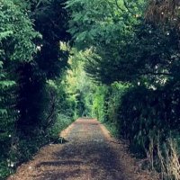 Dr. Nouf Alroqaiba (@noufr) Twitter profile photo