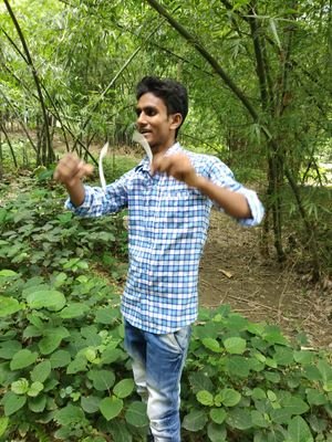 MojahitS's profile picture. 