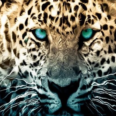 porkopops2's profile picture. 