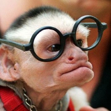 CodeFunkey's profile picture. Programmer

This is only for news, give a ways, and stalking silently