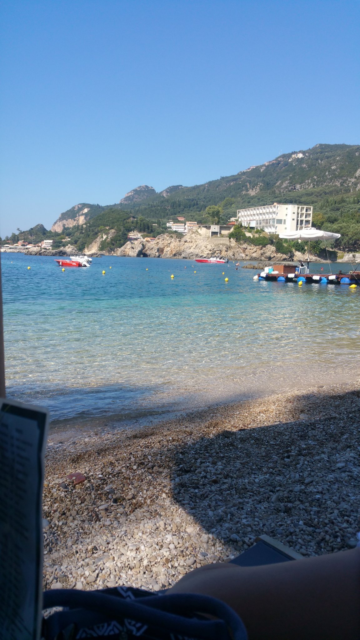 robertorovatti's profile picture. autore io erica e machiavelli. prossima uscita  tassoni 36