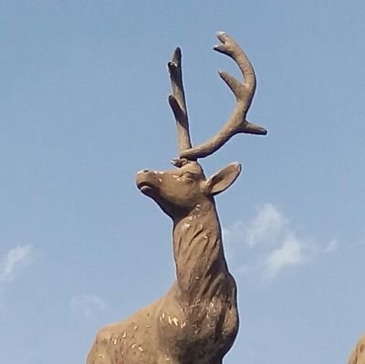 farad_zand's profile picture. Ez di azadiya mirovan de bawer dikim.