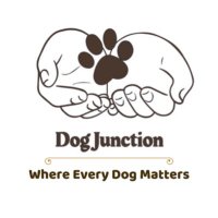Dog Junction(@DogJunction) 's Twitter Profile Photo