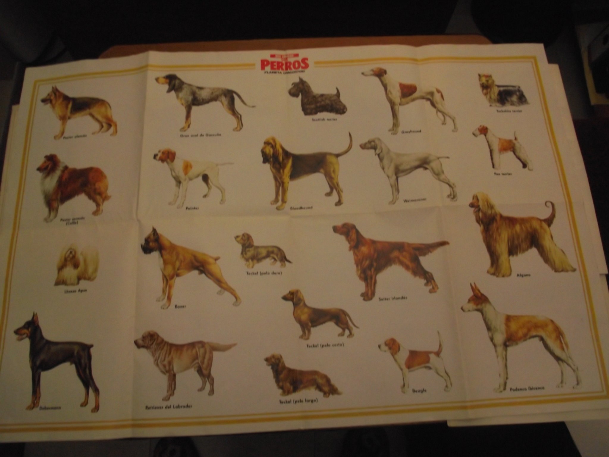 Nosoloantigueda's profile picture. 