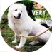 VERY-PET (@very_tokyo) Twitter profile photo VERY-PET (@very_tokyo) Twitter profile photo