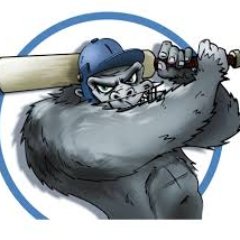 Live cricket commentary streamed over the internet. We are the South African arm of Guerilla Cricket. Find our live commentary on https://t.co/LQ1VbssPrk