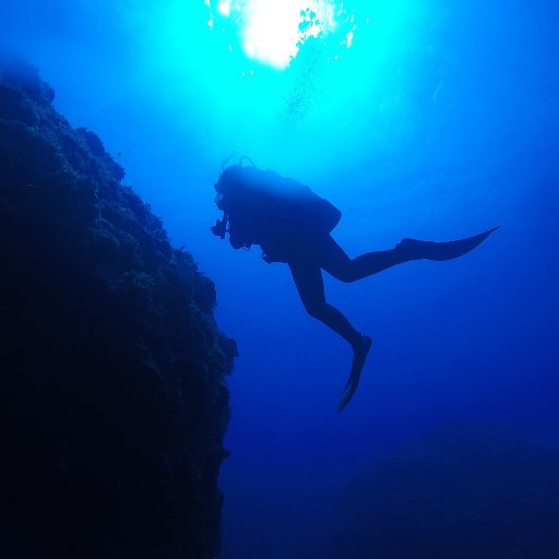 山口県長門市青海島を中心に活動を行っている山口県内サークル「Dive Blue」です。スクーバダイビングのライセンスの取得や海の清掃活動を行い、世代を越えたコミュニケーションの形成を目指しています。