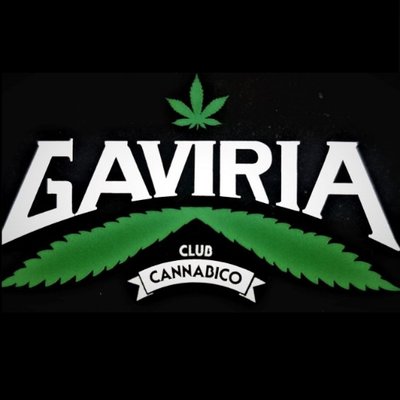 Club Cannabico Gaviria Uruguay (@ClubGaviria) / Twitter