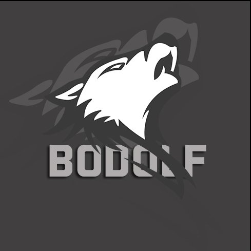 🇹🇷 Rainbow Six Siege Captain/IGL for @bjkesports - Lifetime Duo: @d3naTi
Contact: bodolffps@gmail.com