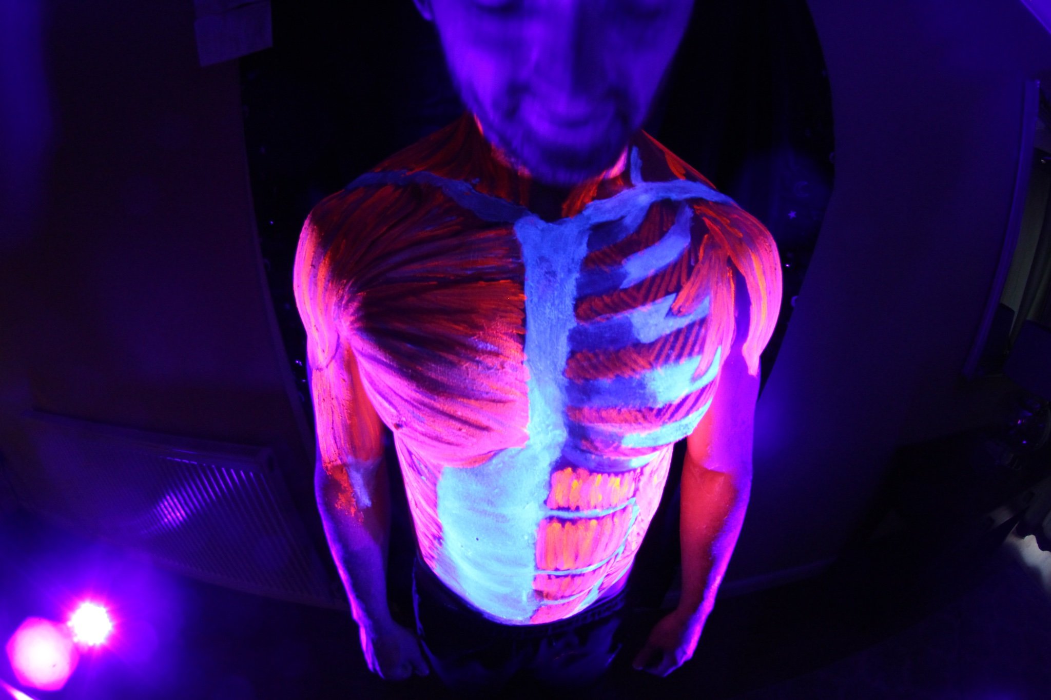 Network for artists, scientists, educators & health professionals interested in anatomical body painting & non-traditional approaches to pedagogy. @gabs_finn