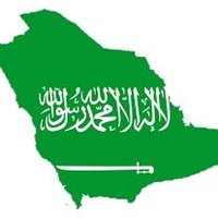 S 🇸🇦 (@aty111) 's Twitter Profile