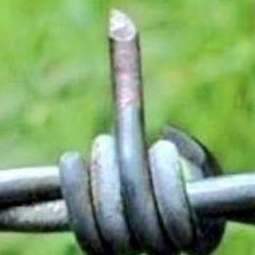 వున్నది ఒక్కటే..జీవితం మిత్రమా..ఆలోఛిస్తూ ఉండక...ని ఆశయ సాధనకై పరుగులు పెట్టు....