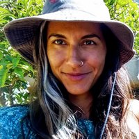 Filipa Paciência (@filipapaciencia) 's Twitter Profile