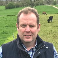 Brent Gibbon (@brentgibbon) 's Twitter Profile