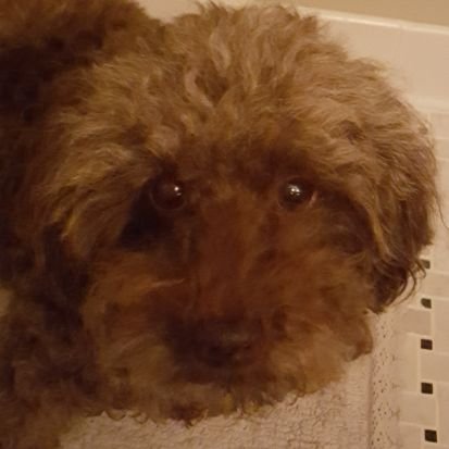 MzQuixote's profile picture. 