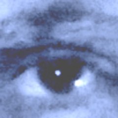 Erotic story writer. Fan of erotic stories, photography, kinks, fetishes, hot women.