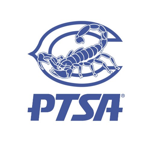 CamPtsa's profile picture. 