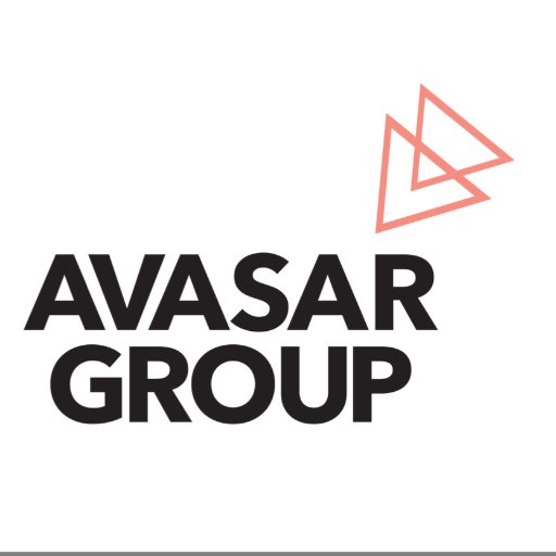 Avasar Group - Business Strategy and Brand Development