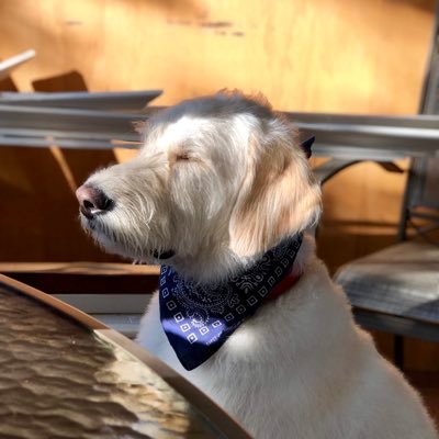 Franicisco437's profile picture. ex Member of Mounties GAMING Community. *We're were GAMING community and NOT RELATED TO REAL LAW ENFORCEMENT WHAT SO EVER* trucks, country music and guitar ❤️