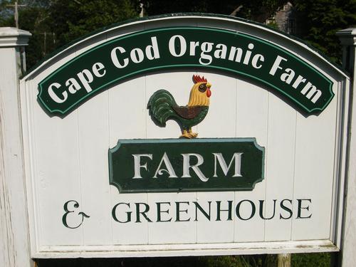 Cape Cod Organic Farm has been organic since its inception in 1995 and has been NOFA certified since 2000.