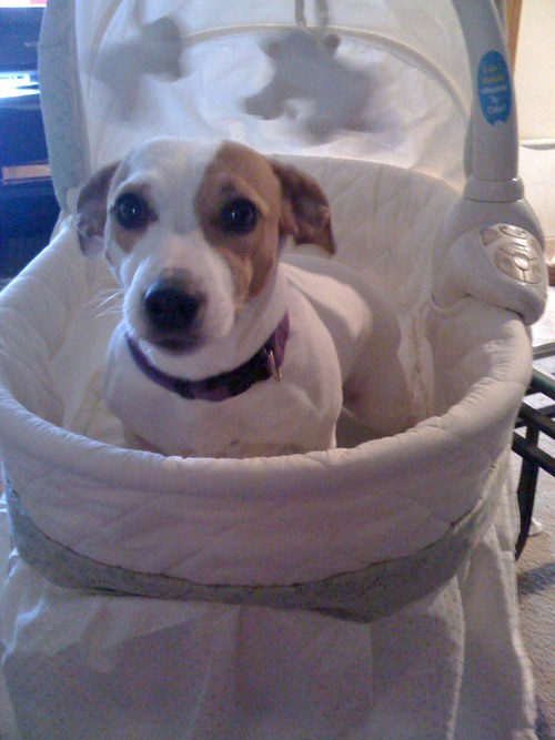 Justin234428's profile picture. Just some guy