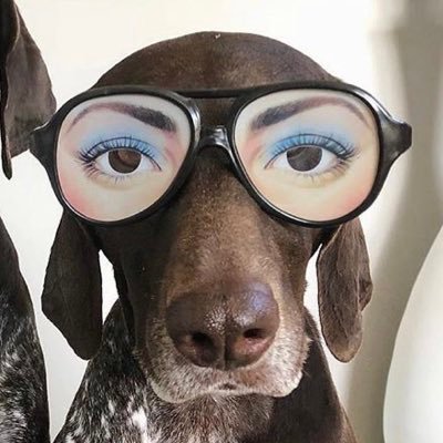 Vibrant, young opticians located in the heart of West Clare exceeding your expectations in designer eyewear, exceptional eyecare and phenomenal customer care!