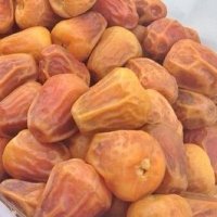 نخيل الجود (@aljood_dates) 's Twitter Profile