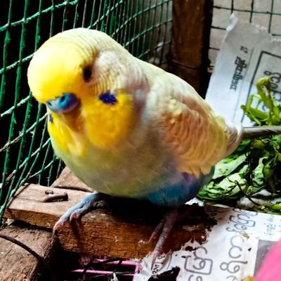 Admin Assistant