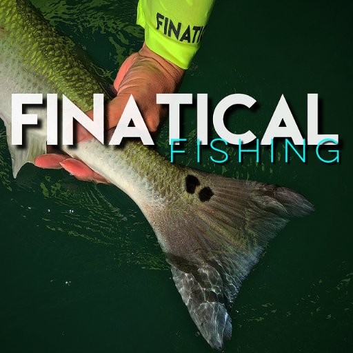 FinaticalGear's profile picture. 