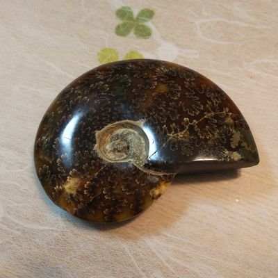 t200214666's profile picture. 現物兼業優待族です。クロスはしていません。基本的に買って放置のド下手くそ。郵便僻地にいるので、優待到着の報告はとてもうれしいです。

テンバガー実績(下手くそ実績)
ペッパーフード、くら寿司、ゼンショー、物語コーポレーション、サンリオ(達成順)
予備軍 ダイドーリミテッド(瞬間最大8.4倍)、カーブス(同9.7倍)