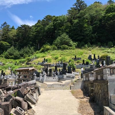 生まれつきのうつ病、発達障害。宮城県で育ち、東日本大震災で両親を亡くし。そこから無気力。一応仕事はしているが、何のために働いているのだろうと迷う日々。将来の希望も見えず、ただただ一日一日をやり過ごして生きています。生きるとは何か?性とはどうあるべきか?いつも自問自答しながら生活しています。