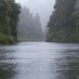 Whanganui River Adventures (@WhanganuiA) Twitter profile photo