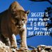 Leon Lady Cougars (@leonladycougars) Twitter profile photo Leon Lady Cougars (@leonladycougars) Twitter profile photo