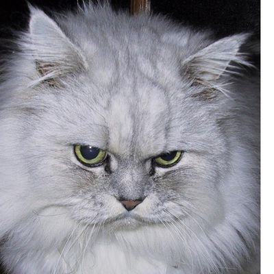 shinnosuke1126's profile picture. 酒全般が大好き。大道芸好き。温泉も好き。舞台が好き。お散歩好き。将棋弱いけど好き。暑さ(夏)好き、寒さ(冬)嫌い。