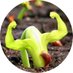 Biofertilizeraid (@microfertilizer) Twitter profile photo Biofertilizeraid (@microfertilizer) Twitter profile photo