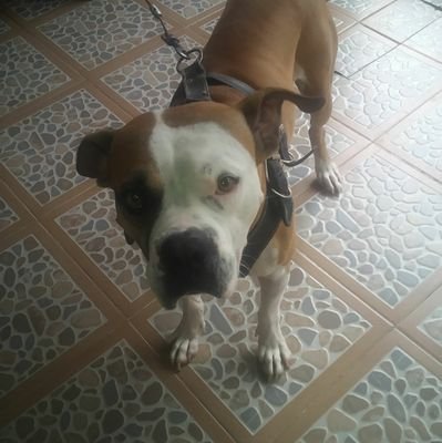 CarlosF95372645's profile picture. 