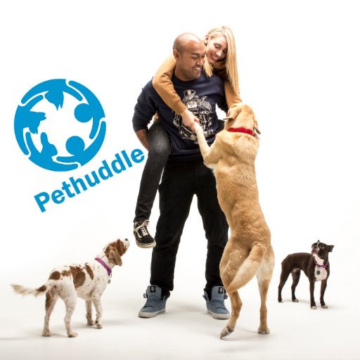 | Grow Your Pet Business With #PethuddleAcademy |☝️
               | And Follow 3 Dogs + 2 Humans |
Family Adventures With #LetsGoWalkies |