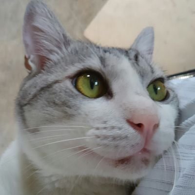 FF_KH_DMC's profile picture. FF、KH、DMC、.hack、ポケモン3世代などが特に好きです。
↓でゲームの動画を投稿しています。

つべhttps://t.co/e2c1D9ZDQx