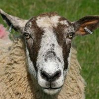 mark conway β·β΅π (@1markconway) 's Twitter Profile