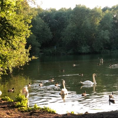 hatfield_prince's profile picture. Health